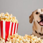 Can Dogs Eat Popcorn?